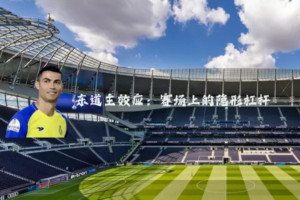 东道主效应：赛场上的隐形杠杆